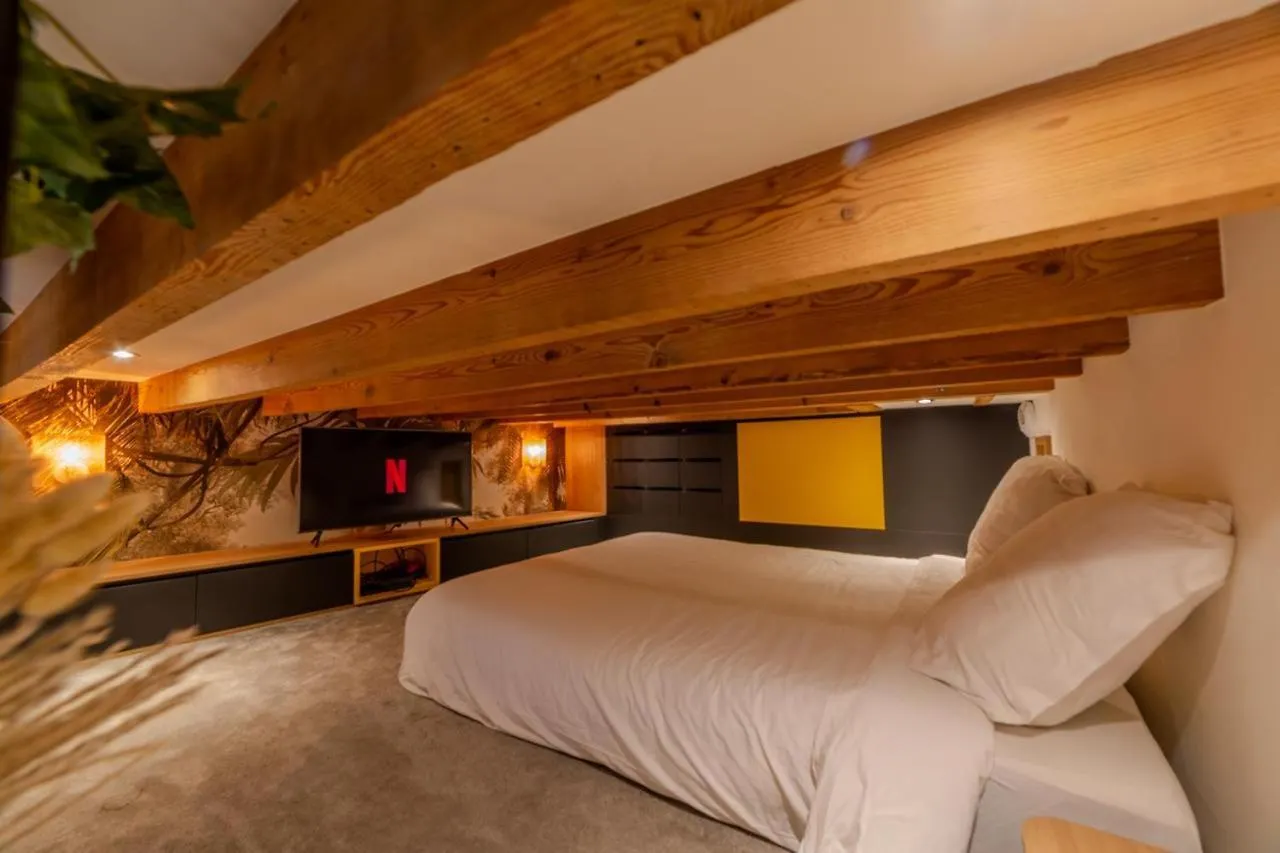 Magnifique Appartement De Caractere En Hypercentre Lyon
